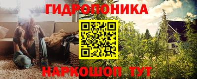 индика Краснознаменск