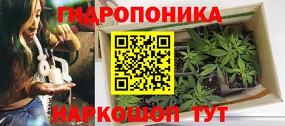 соль ск Краснодар